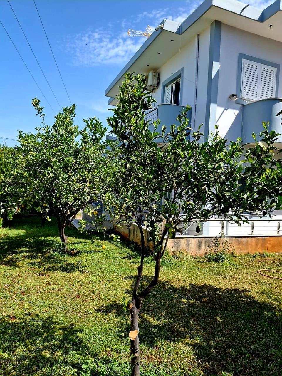 Myksamil Apartments Extérieur photo