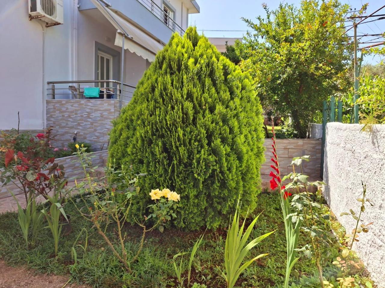 Myksamil Apartments Extérieur photo